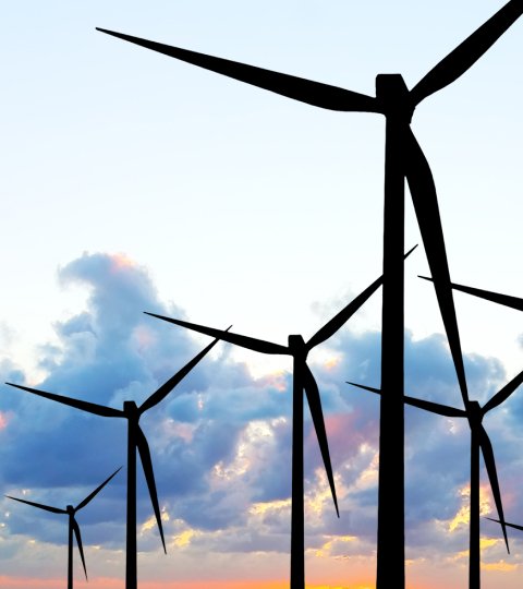 photo of wind turbines